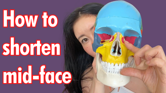 Demonstrating how to shorten the mid-face naturally using facial exercises and anatomical references, featuring a model skull and instructional guide.