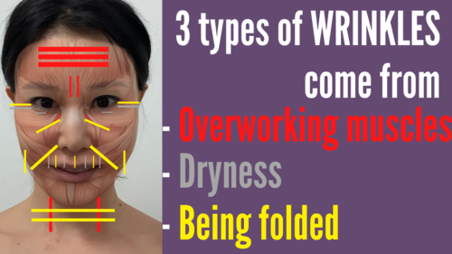 Thumbnail for '3 Types of Facial Wrinkles', categorizing and explaining the different facial wrinkles and their causes.