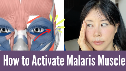 3 Exercises To Activate Malaris Muscle