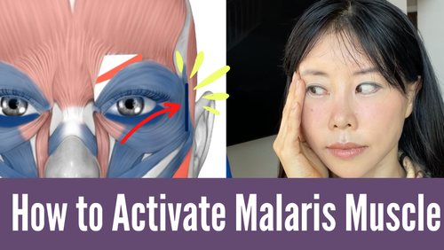 Thumbnail for '3 Exercises To Activate Malaris Muscle', showcasing a series of facial exercises designed to strengthen and engage the malaris muscle.