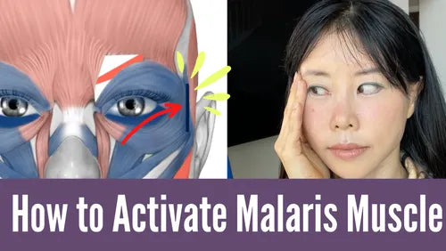 Thumbnail for '3 Exercises To Activate Malaris Muscle', showcasing a series of facial exercises designed to strengthen and engage the malaris muscle.