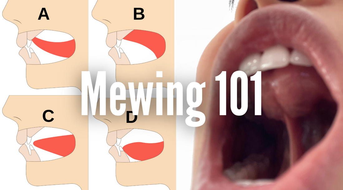 Mewing 101 aka Correct Tongue Posture Updated