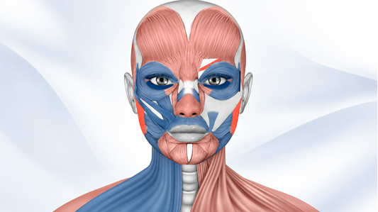 Why Your Face Posture® Matters More Than You Think