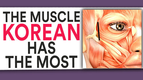 Thumbnail for 'The Muscle Koreans Have the Most and We Might', exploring the differences in muscle development between cultures, focusing on a specific muscle prevalent among Koreans and its potential in others.