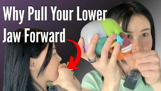 Why pull your lower jaw forward? Demonstration using a skull model to explain jaw alignment, facial posture, bite mechanics, and facial muscle function.