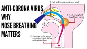  Thumbnail for 'Koko Face Yoga: Nose Breathing for Anti-Coronavirus', highlighting how nose breathing can help block foreign objects and reduce the risk of respiratory infections.