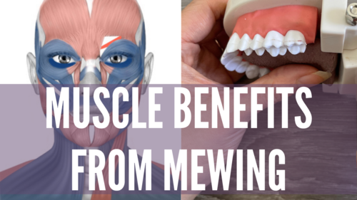 Thumbnail for '5 Facial Muscle Benefits From Mewing', detailing how mewing can improve facial muscle tone, definition, and overall facial aesthetics.